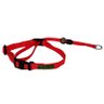 Coleira Cabresto K9 Spirit Vermelho M - 1