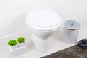 Ver imagem 6 de Tampa De Vaso Sanitario Almofadada Azalea Branco Para Bacia Celite