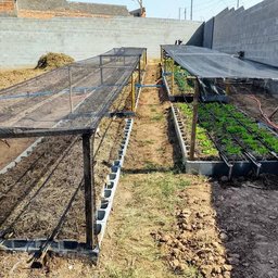 Tela Sombreamento 2x10m 50% para Horta Jardim Estufa Viveiro - 7