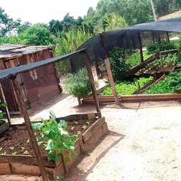 Tela Sombreamento 2x10m 50% para Horta Jardim Estufa Viveiro - 4