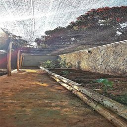 Tela Sombreamento 2x10m 50% para Horta Jardim Estufa Viveiro - 5