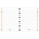 Ver imagem 3 de Caderno Tilidisco Inteligente Lovely Friend Panda 10 Matérias - Tilibra