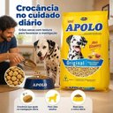 Ver imagem 4 de Ração para Cães Adultos Apolo Original Carne e Cereais Médio e Grande 20kg
