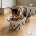 Ver imagem 6 de Comedouro Elevado Pets Cerâmica Ergonômico Tigela Água Ração