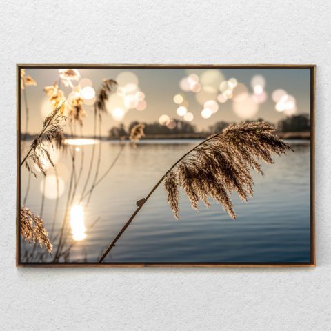 Quadro Decorativo Juncos no Lago ao Amanhecer Com Moldura e Sem Vidro 90x140