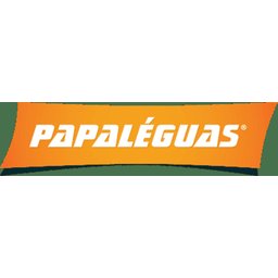 Fogareiro Baby Zincado 22cm - Alta Pressão e Compacto - 4