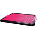 Ver imagem 1 de Sanitário Canino Tapete Higiênico Xixi Banheiro Pet Educador