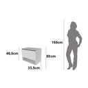 Ver imagem 2 de Balcão Gabinete Suspenso para Banheiro 60cm com 1 Porta e Nicho Bn3606 Branco sem Cuba