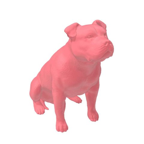 Pitbull Macho Orelha Cortada com Gravata Miniatura Decoração 3d:rosa