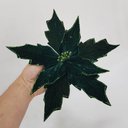 Ver imagem 4 de Flor Artificial Veludo Verde 30cm