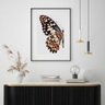Quadro Borboleta - Asa Colorida - 60x48cm:madeira Preta - 1