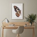 Ver imagem 2 de Quadro Borboleta - Asa Colorida - 60x48cm:madeira Preta