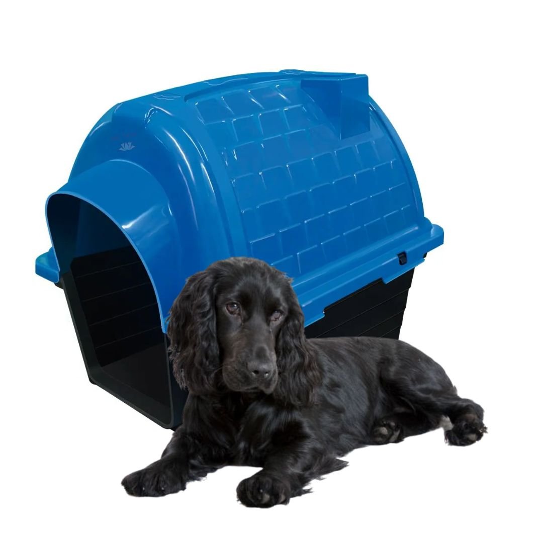 Casinha Iglu N4 Pet Cachorro Porte Médio Cães Plástica Desmontável Térmica Cor:azul