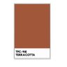 Quadro Canvas Pantone TPC-416 Terracota - 1