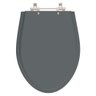 Tampa de Vaso Sanitário Absolute Cinza Quartzo (cinza Escuro) para Bacia Ideal Standard - 1