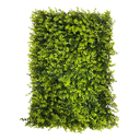 Ver imagem 1 de Placa de Eucalipto 40 X 60cm Muro Inglês Jardim Vertical