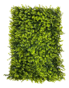 Ver imagem 1 de Placa de Eucalipto 40 X 60cm Muro Inglês Jardim Vertical