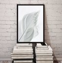 Ver imagem 2 de Quadro Decorativo Fotografia Branca Pena 24x18cm - com Vidro:madeira Preta