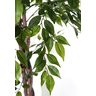 Árvore Planta Artificial Fícus Volumosa para Vaso Decorativo Toque Verde Realista Permanente - 3