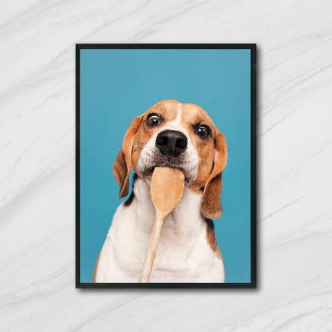 Quadro Fotografia Cachorro Na Cozinha 45x34cm - com vidro:Madeira preta