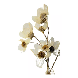 1 Buquê de Flor Esqueletizada Folhagem Natural Decoração - 5