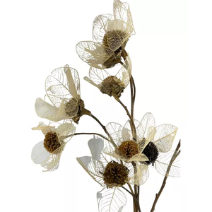 1 Buquê de Flor Esqueletizada Folhagem Natural Decoração