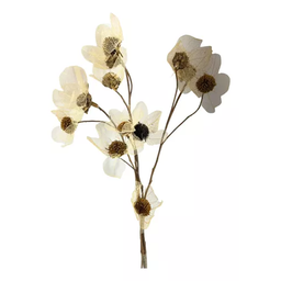 1 Buquê de Flor Esqueletizada Folhagem Natural Decoração - 4