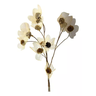 1 Buquê de Flor Esqueletizada Folhagem Natural Decoração - 4