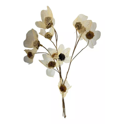 1 Buquê de Flor Esqueletizada Folhagem Natural Decoração - 2