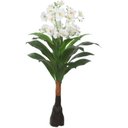 Ver imagem 1 de Planta Artificial Arvore Flor Real Toque X11 Branco 90cm