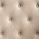 Ver mais imagens de Jogo 2 Poltronas Estofadas Tecido Veludo Elegante para Sala de Espera Aconchegante Pés de Madeira Re