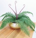 Ver imagem 3 de Arranjo Flor Artificial Samambaia Renda Verde Com Vaso Ouro