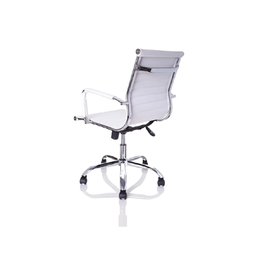 Cadeira Esteirinha Diretor Elegante Branca D823 4b B Bering - 3