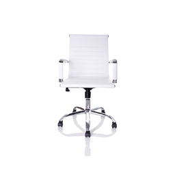 Cadeira Esteirinha Diretor Elegante Branca D823 4b B Bering - 2