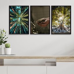 Kit 3 Quadros Decorativos Mãe Natureza 45x34cm:madeira Branca - 1