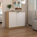 Ver imagem 1 de Sapateira Americana 2 Portas Savana/branco - Panorama Móveis