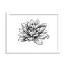 Quadro Decorativo Flor De Lótus Preto E Branco - 1
