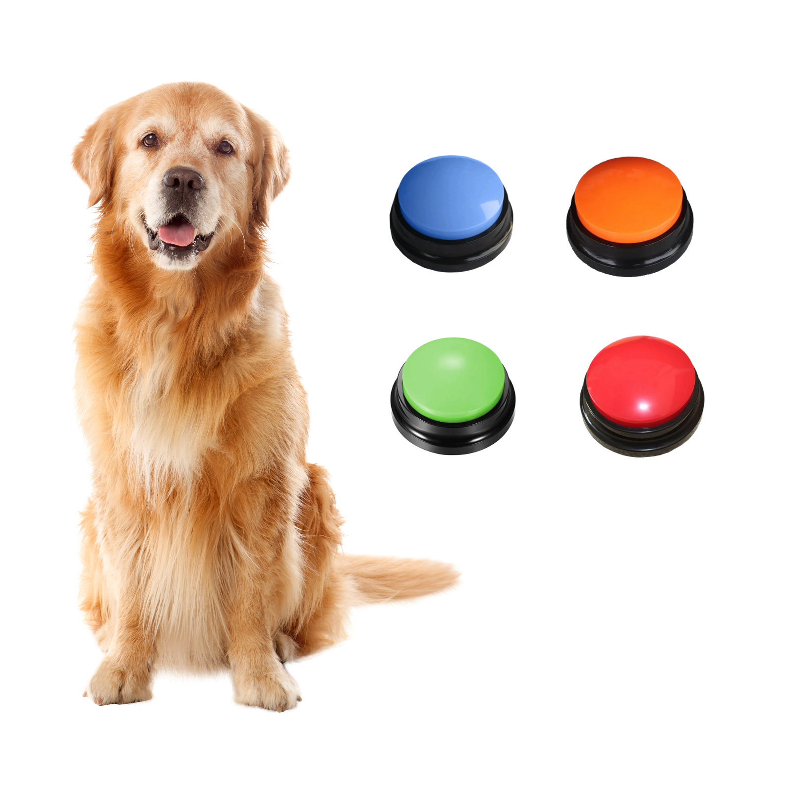 Botão de Comando de Voz (com 4 Cores Diferentes) Treinamento para Cão Cachorro - 1