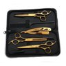 Tesoura Cabeleireiro Kit98 Profissional 6.0 Dourado - 1