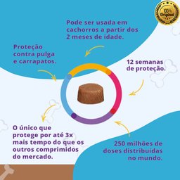 Bravecto Cachorro 20 Kg 40 Kg - 4