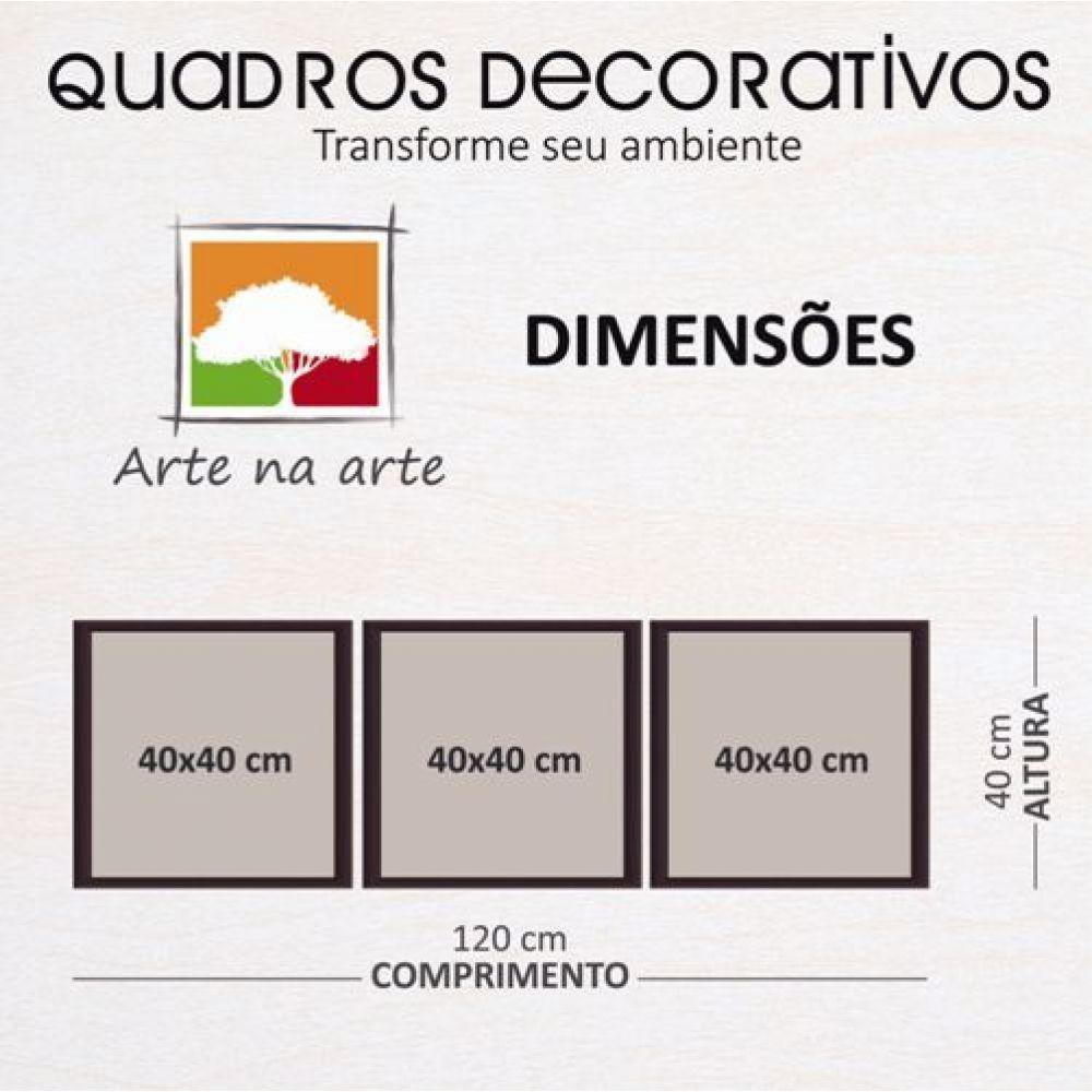 Quadros Decorativos 3 Peças 40x40 FormasMoldura Preta - 3