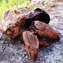 Ver imagem 2 de Nó de Pinho para Lareira Artesanato Decoração 10kg