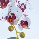 Ver imagem 2 de Arranjo de Orquídea Artificial Tigre em Vaso Branco Fosco Poly