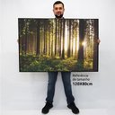 Ver imagem 2 de Quadro Decorativo Caixa Alta com Vidro Floresta Sobre a Luz do Sol  TaColado Moldura Madeira 120 x 8