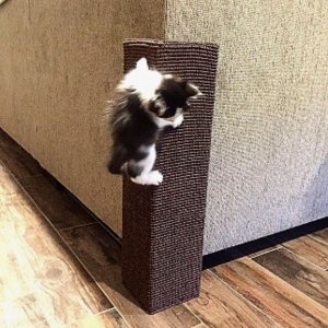 Arranhador para Gatos 14x60 protetor de sofá Cor:Verde Floral
