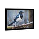 Ver imagem 3 de Quadro Pega-rabuda -- Br Artes