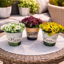 Ver imagem 3 de Arranjos Decoração Centro de Mesa Artificial 15cm Kit 3PÇS
