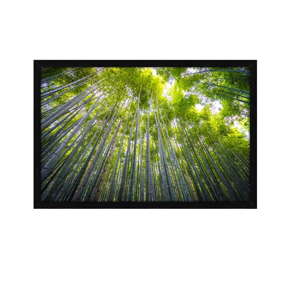 Quadro Decorativo Árvore Bambu: Mod. 0359 Collor-ink Mod.0359 50 X 75cm Preto - 1