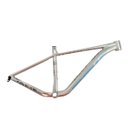 Ver imagem 2 de Quadro Mtb Tsw Nuuk 29" Alumínio 2024 Gancheira Udh Cinza