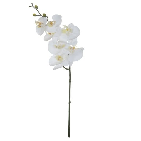 Haste Orquídea Phalaenopsis Toque Real 63cm